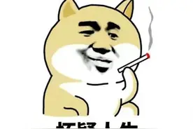 多于5口人的哈尔滨家庭注意！20日前办完这事，能省一笔电费图片