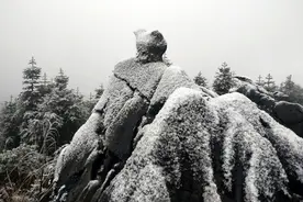 多图 | 下雪啦！快来宜宾兴文看今冬第一场雪图片