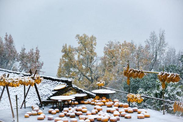 婺源迎来2020年第一场雪 雪中篁岭美成水墨画