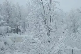 中国的雪到底有几副面孔？图片