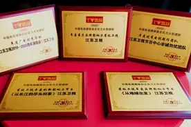 捷报！2020年“TV地标”颁奖江苏卫视夺得多项殊荣图片