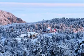 降雪来袭 各地银装素裹图片