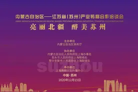 南北互动：内蒙古自治区赴江苏苏州洽谈产业转移合作图片