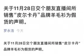 直播带货“翻车”，罗永浩道歉！还报案了……图片