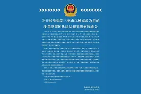 海南打掉三亚杨家武涉黑犯罪团伙 抓获25名嫌疑人图片