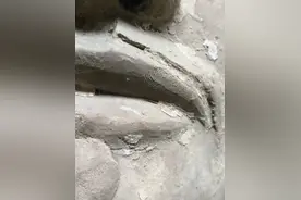 一眼千年！给兵马俑拍“证件照”的他，有个震撼发现图片