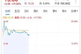 “洗衣液龙头”蓝月亮今天“云敲钟”上市首日股价高开16.41%图片