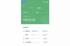 微信支付可查年度账单，网友一查吓一跳：收入和支出不成比例啊图片