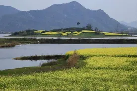 枞阳，古枞川八景之渔翁钓图片