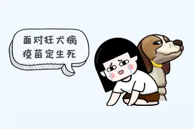 病发后死亡率近100%，不可治但可防！萧山女孩的脑死亡应该让你更多了解狂犬病图片