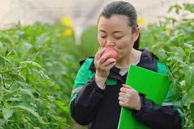 “怎样让我买到的草莓，和网上看到的照片一样？”买手揭秘生鲜电商背后的门道图片