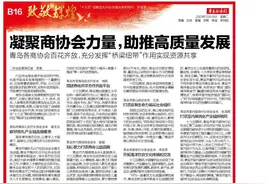 青岛各商协会百花齐放 充分发挥“桥梁纽带”作用实现资源共享图片