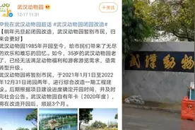 武汉动物园将暂别市民，明年元旦起闭园改造两年视频封面