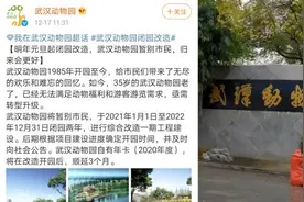 武汉动物园将暂别市民，明年元旦起闭园改造两年视频封面