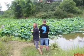 七旬老人疑妻有外遇杀妻藏尸 经鉴定患偏执型精神障碍，被判14年图片