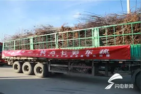 宁阳东疏丨千株北美海棠 装点七彩东疏图片