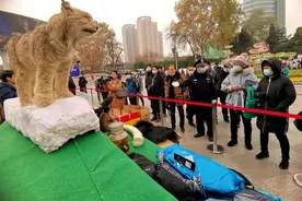 假茅台如何识别？真耐克又长什么样？郑州警方这个成果展告诉你答案图片