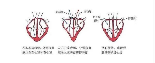 室颤心电图的特点有哪些（你必须知道的AED）
