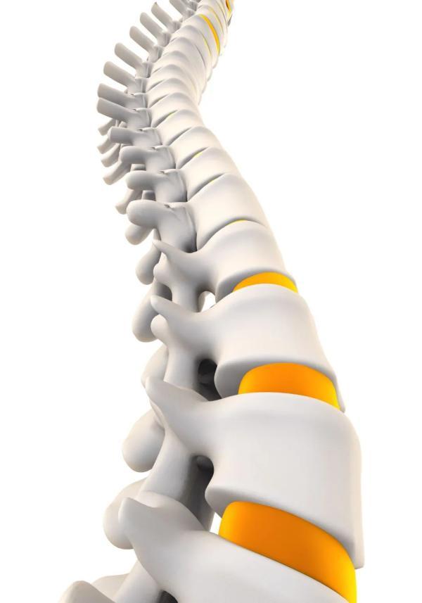 老年人跌倒，这些部位最易骨折，为啥呢