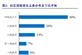 社区团购潮｜团长百态：每月赚几千客源稳定，忧心终会被取代图片