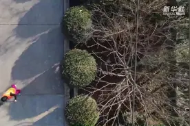 太极之乡的“隐藏高手”视频封面