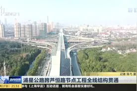 浦星公路跨芦恒路节点工程全线结构贯通视频封面