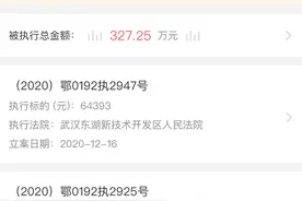 斑马网约车关联企业成被执行人图片