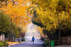 山水长兴 金色童话图片