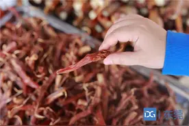 旧味暖心∣这些“小众”腊味，也是东莞人冬日的乡愁图片