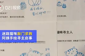 暖心！迷路猫咪敲门寻主人，好心人为猫咪手绘寻主启示视频封面
