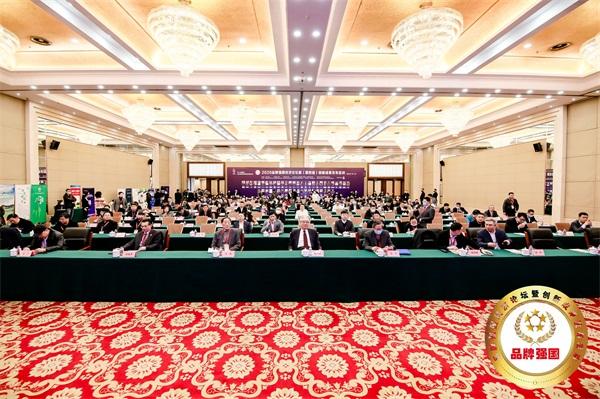 莱芜seo优化（2020品牌强国经济论坛在京举行）