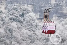 到金佛山耍雪需要注意啥？你关心的问题都在这里图片