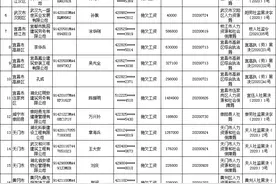 湖北省发布拖欠农民工工资“黑名单“图片