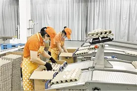 小吃大功夫——沙县小吃产业发展调查图片
