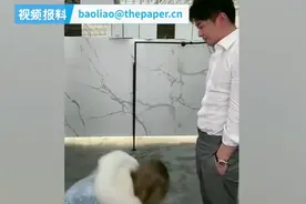 辛选又一网红主播涉虚假宣传遭平台封禁，曾磕头跪拜辛有志为师图片