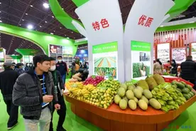 2020年海南冬交会迎来“海口时间”图片