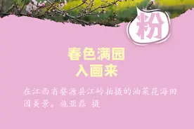 五彩四季！这是2020年最美的颜色图片