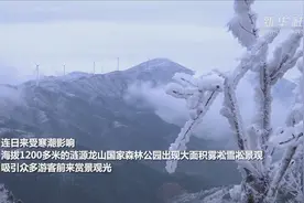 湖南涟源：雾凇冰挂引客来视频封面