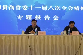 学习贯彻四川省委十一届八次全会精神 听听这些在京川人的心声图片