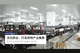 河北邢台：打造宠物产业集群视频封面