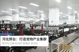 河北邢台：打造宠物产业集群视频封面