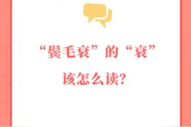 鬓毛衰的衰该怎么读？图片