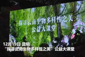 “探寻云南生物多样性之美”公益大课堂活动在昆明启动视频封面