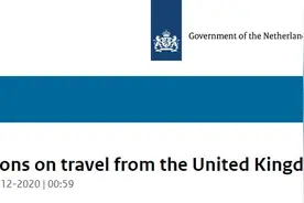 荷兰发现英国新冠病毒新变种后 发布对英飞行禁令图片