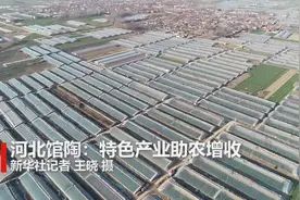 河北馆陶：特色产业助农增收视频封面