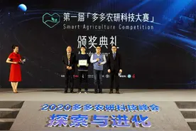 草莓AI种植竞赛：人工智能比拼顶尖农人图片