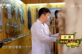 谁是动物界的“最强甩干机”？今天18:00档，CCTV -1《正大综艺·动物来啦》为你揭晓→图片