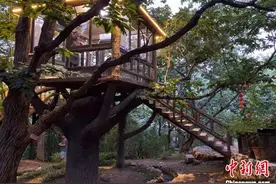 山东蒙阴坐“吃”山水“捧”出“金饭碗”图片