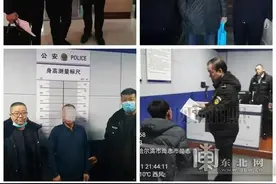 多起涉林案件在哈尔滨破获，回收非法侵占林地1270亩图片