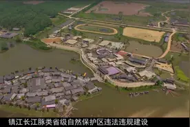 「践行嘱托开新局」共抓长江大保护，看镇江豚类保护区恢复美丽“素颜”图片